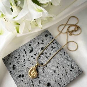 Pakabukas ,,Kriauklytė"