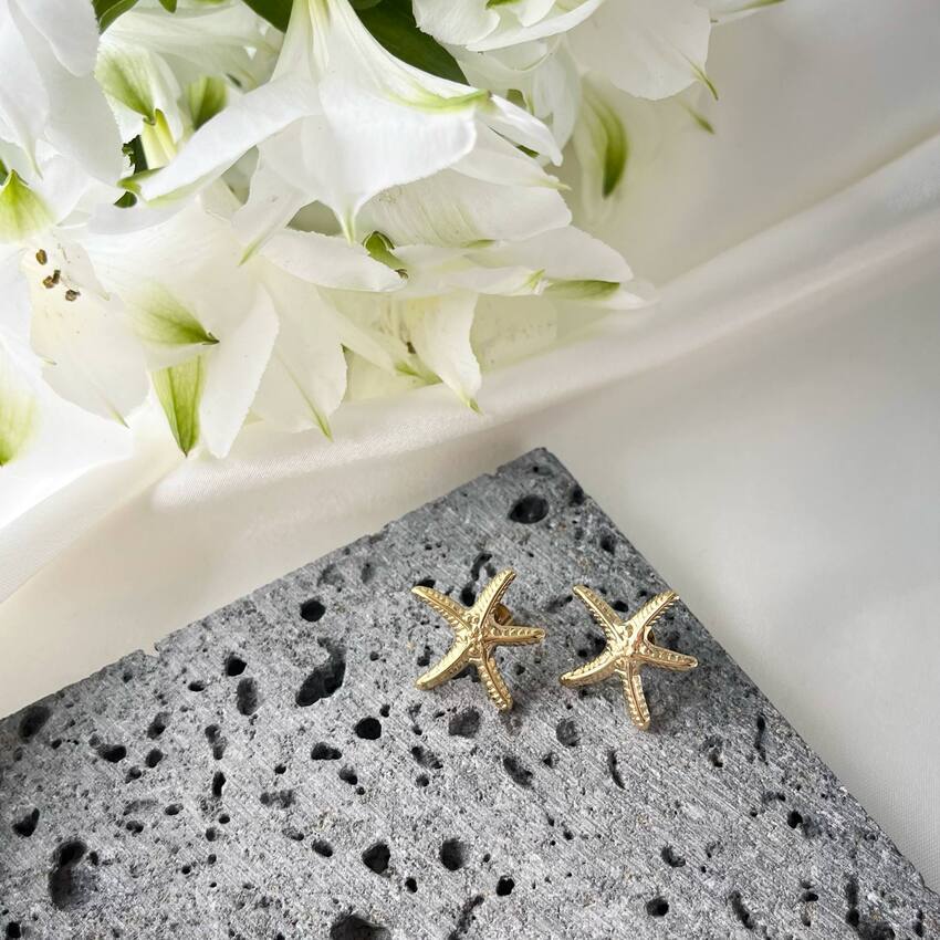 Auskarai ,,Jūrų žvaigždutės"