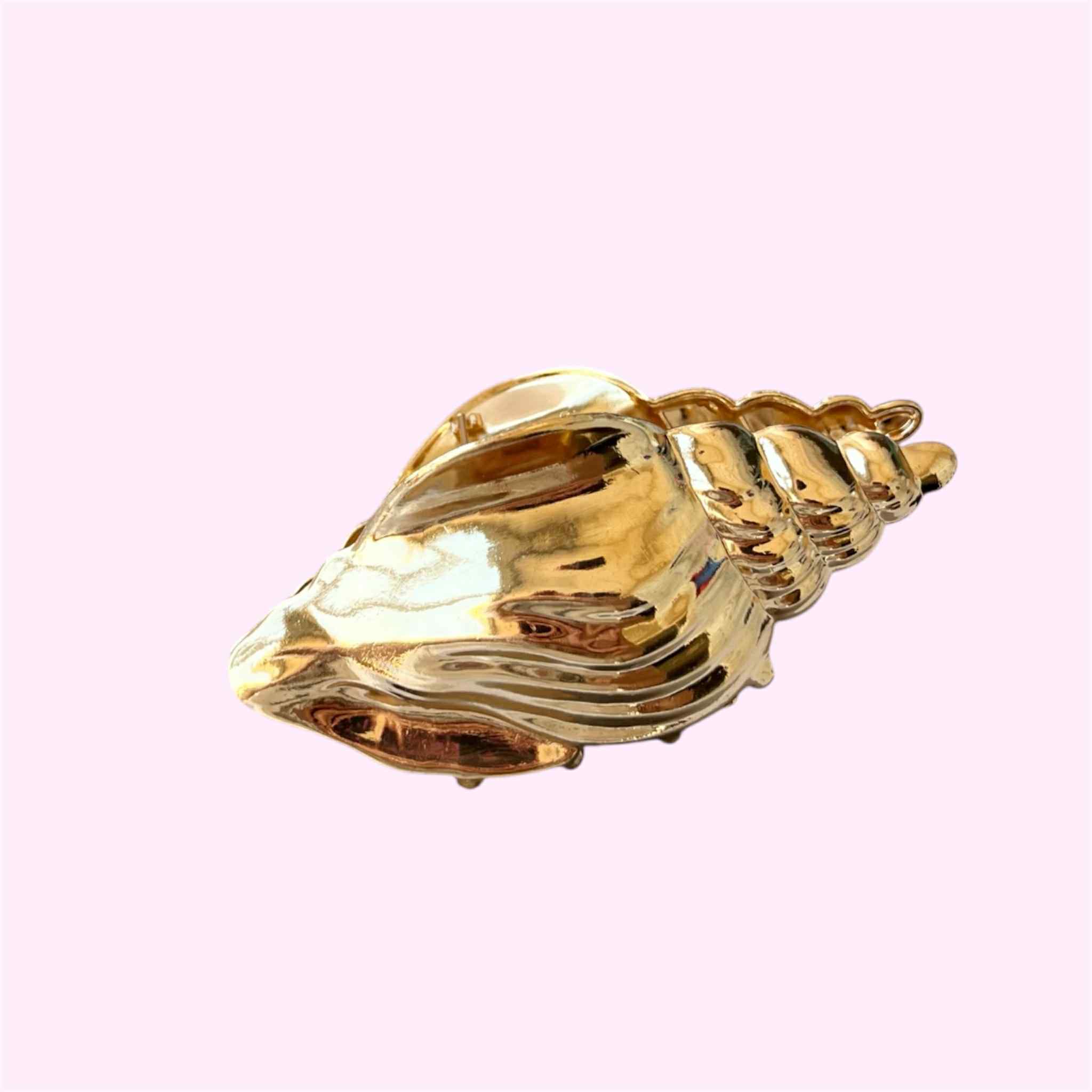 Plaukų segtukas ,,Kriauklė"